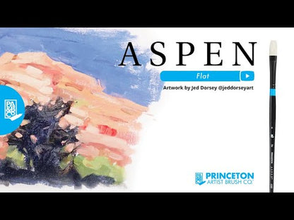 Aspen™ Series 6500 Brushes
