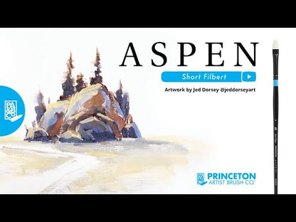 Aspen™ Series 6500 Brushes