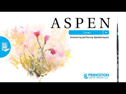 Aspen™ Series 6500 Brushes