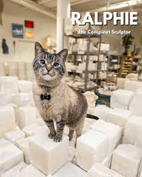 Shop Cats of New York (Revised and Expanded)