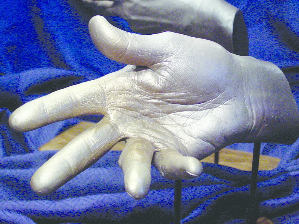 Adult Hand Casting Kit Alginate