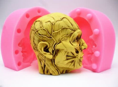 Anatomical Head (2 part) Silicone Mold