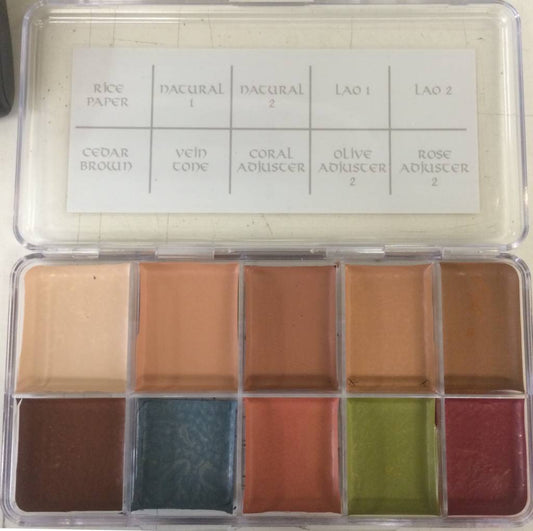 Paleta de tonos de piel de Skin Illustrator