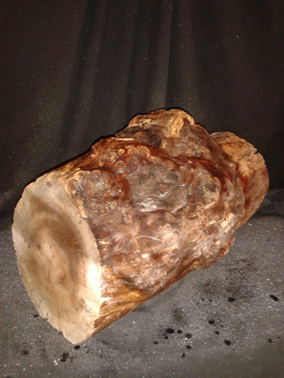 Spalted Maple Log 8"Dx20"H 26lbs #15353