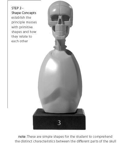Anatomy Tools Skeleton Torso 5pc Set