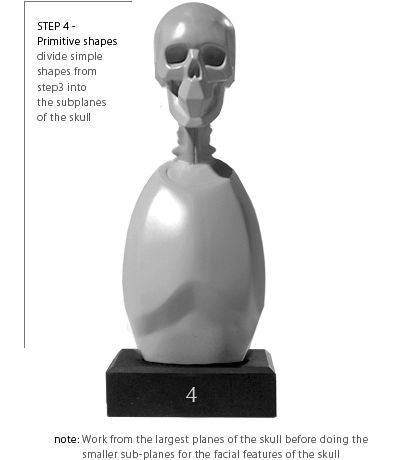 Anatomy Tools Skeleton Torso 5pc Set