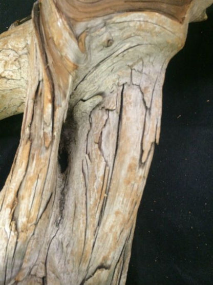 Kayu apung 30X13X6 #091004